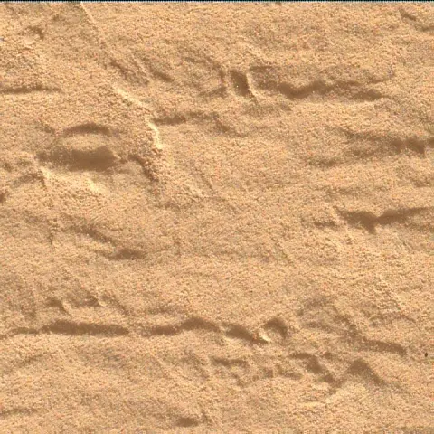 Sol 4547: Mars Hand Lens Imager (MAHLI)