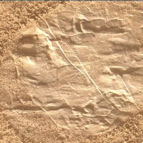 Sol 4547: Mars Hand Lens Imager (MAHLI)
