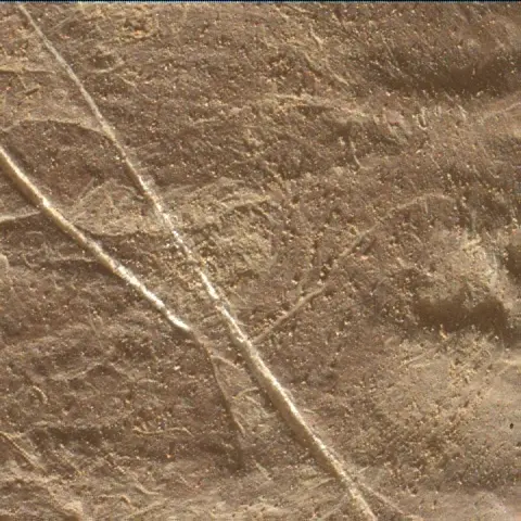 Sol 4547: Mars Hand Lens Imager (MAHLI)