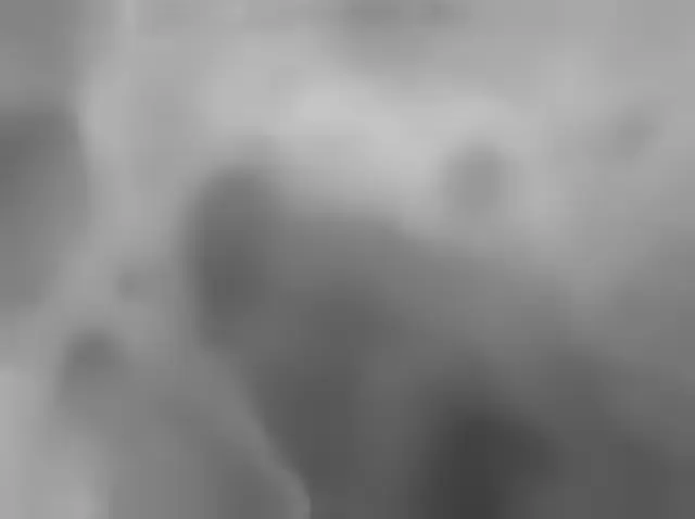 Sol 4554: Mars Hand Lens Imager (MAHLI)