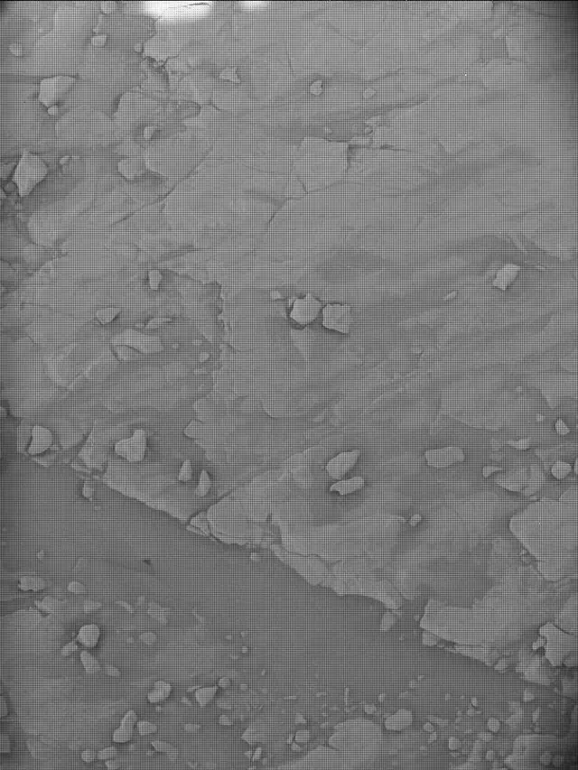 Sol 4558: Mast Camera (Mastcam)