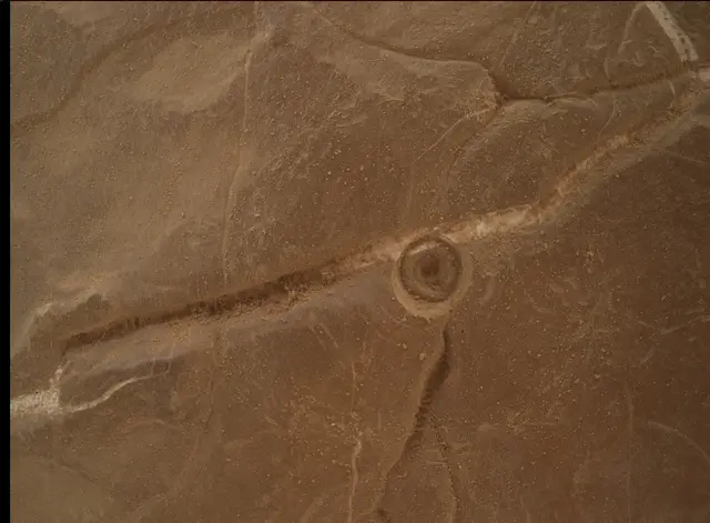 Sol 4559: Mars Hand Lens Imager (MAHLI)