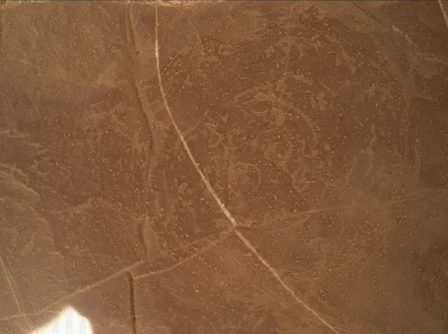 Sol 4561: Mars Hand Lens Imager (MAHLI)