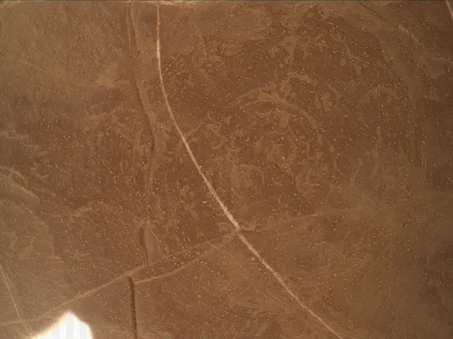 Sol 4561: Mars Hand Lens Imager (MAHLI)