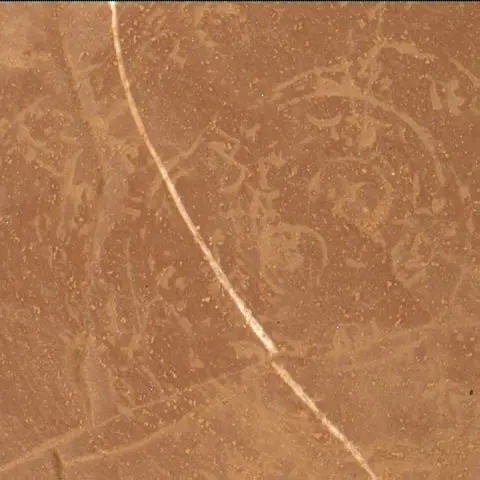 Sol 4561: Mars Hand Lens Imager (MAHLI)
