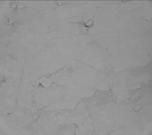 Sol 4562: Mast Camera (Mastcam)