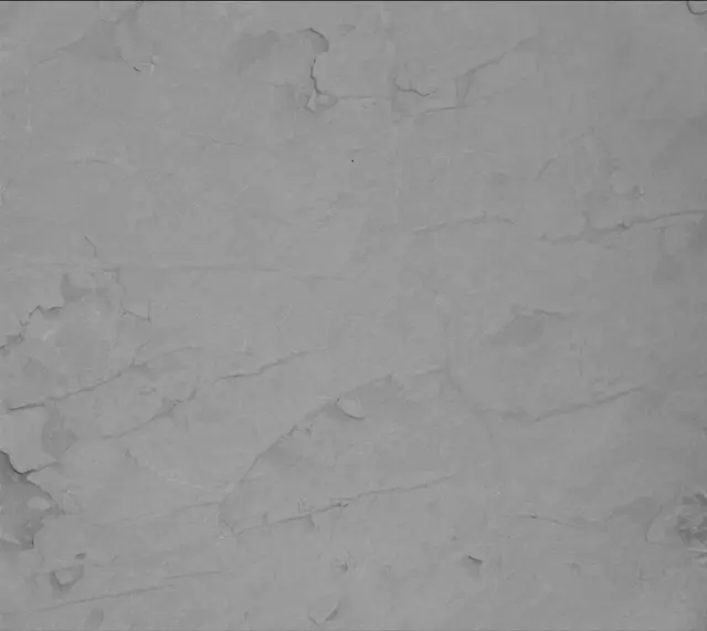 Sol 4562: Mast Camera (Mastcam)