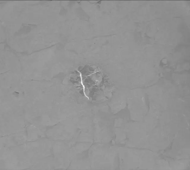 Sol 4563: Mast Camera (Mastcam)
