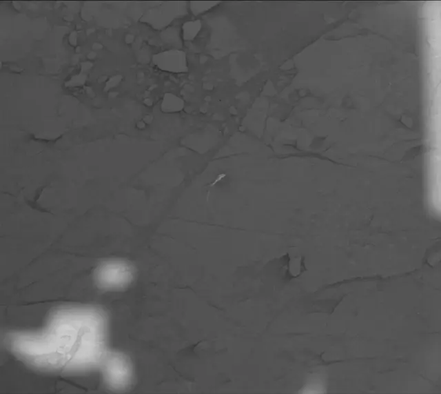 Sol 4570: Mast Camera (Mastcam)