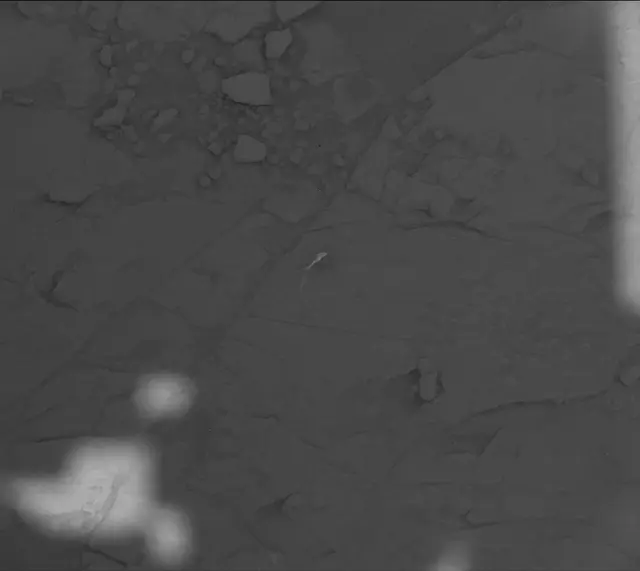 Sol 4570: Mast Camera (Mastcam)