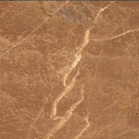 Sol 4575: Mars Hand Lens Imager (MAHLI)