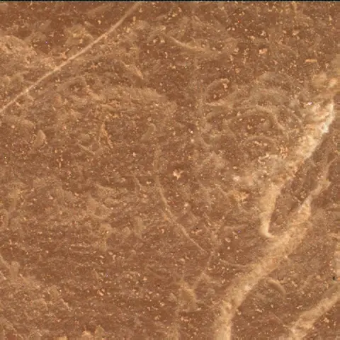 Sol 4575: Mars Hand Lens Imager (MAHLI)