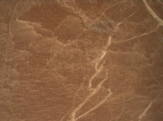 Sol 4575: Mars Hand Lens Imager (MAHLI)