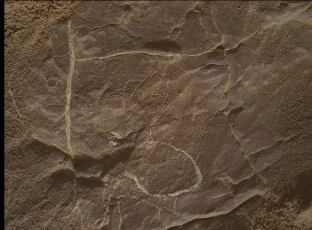 Sol 4577: Mars Hand Lens Imager (MAHLI)