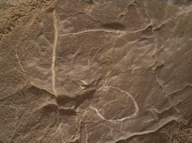 Sol 4577: Mars Hand Lens Imager (MAHLI)