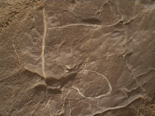 Sol 4577: Mars Hand Lens Imager (MAHLI)