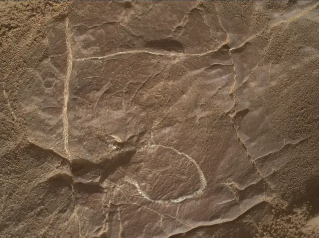 Sol 4577: Mars Hand Lens Imager (MAHLI)