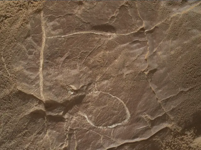 Sol 4577: Mars Hand Lens Imager (MAHLI)