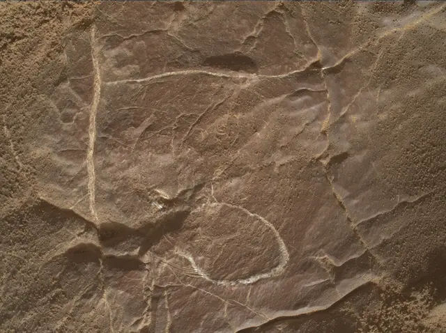 Sol 4577: Mars Hand Lens Imager (MAHLI)