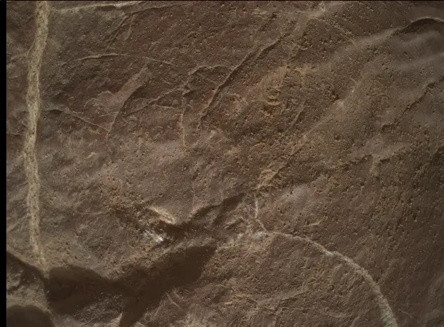 Sol 4577: Mars Hand Lens Imager (MAHLI)