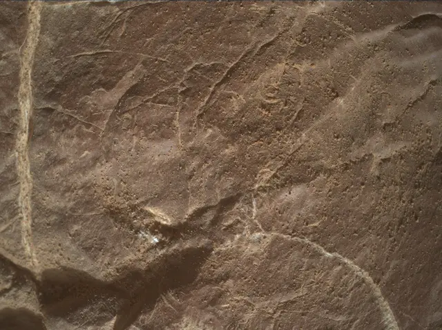Sol 4577: Mars Hand Lens Imager (MAHLI)