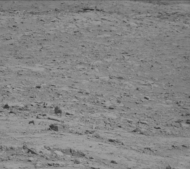 Sol 4585: Mast Camera (Mastcam)