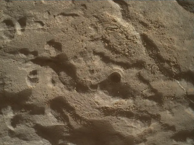 Sol 4591: Mars Hand Lens Imager (MAHLI)