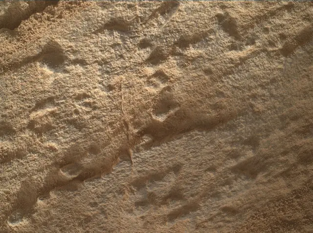 Sol 4593: Mars Hand Lens Imager (MAHLI)