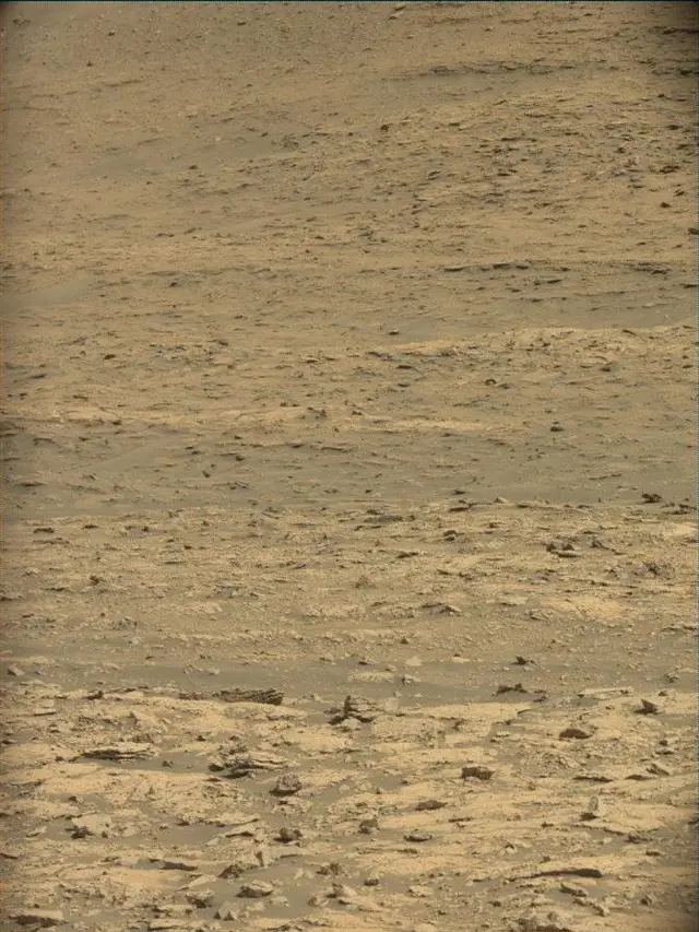 Sol 4594: Mast Camera (Mastcam)