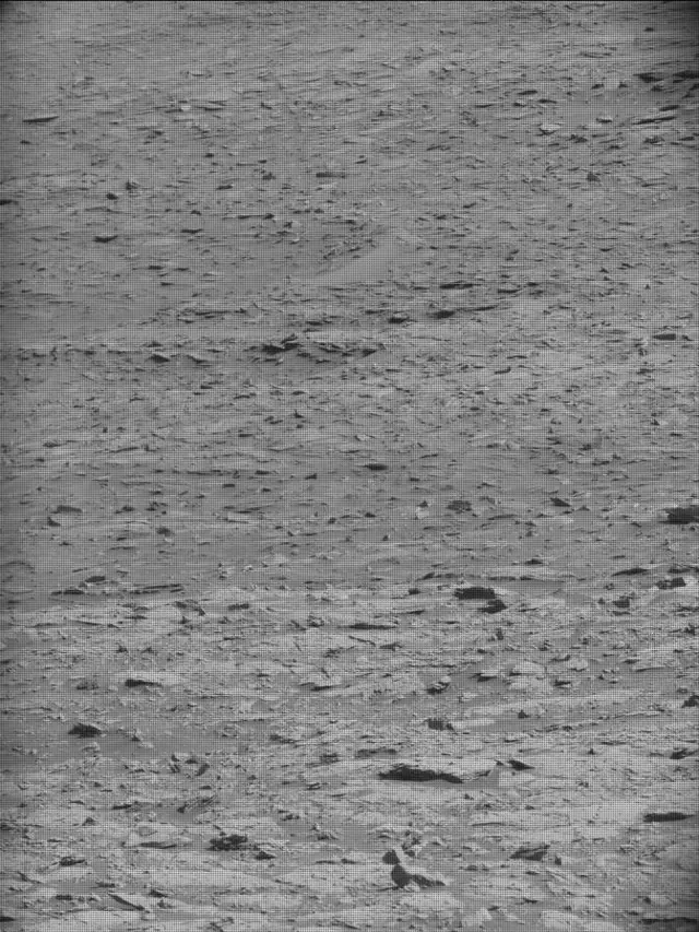 Sol 4594: Mast Camera (Mastcam)