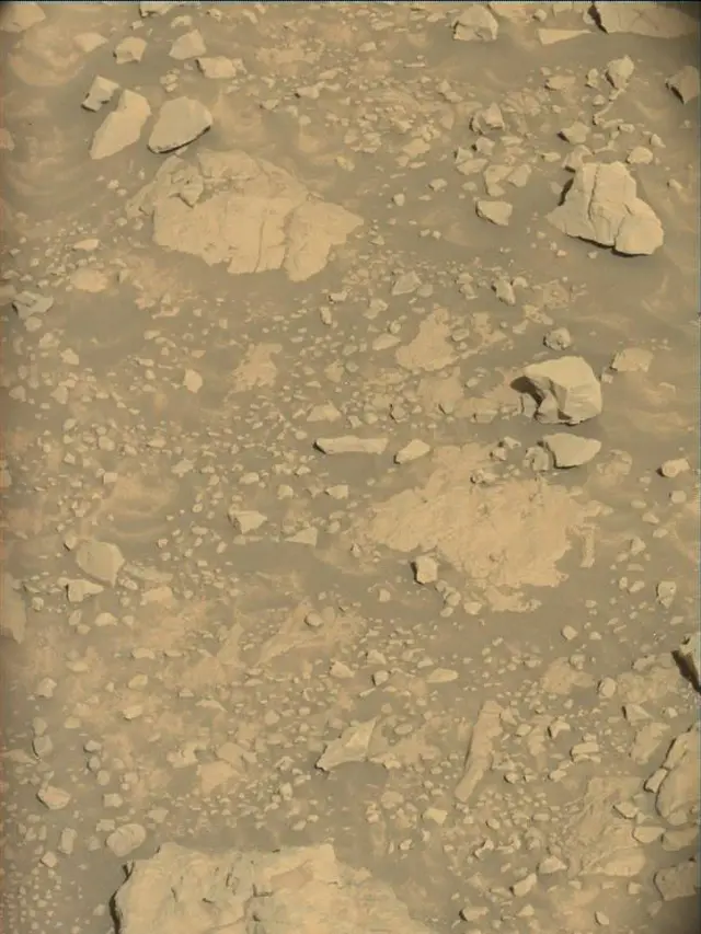 Sol 4594: Mast Camera (Mastcam)