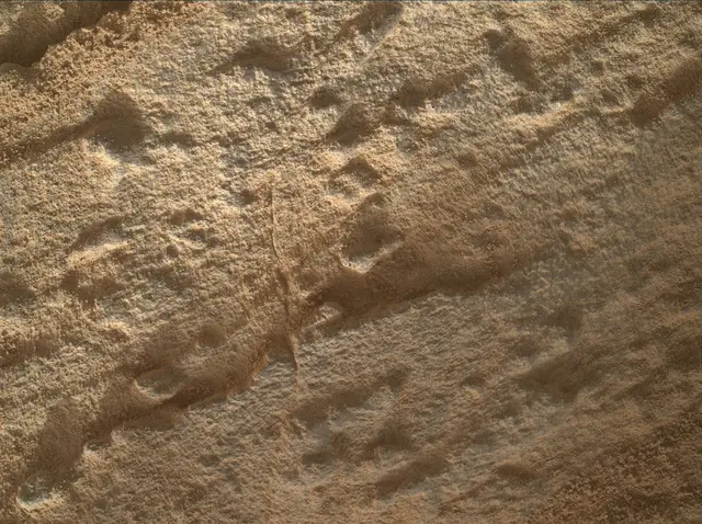 Sol 4594: Mars Hand Lens Imager (MAHLI)