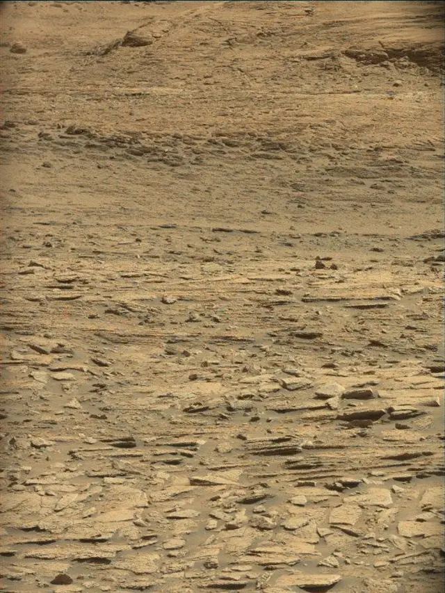 Sol 4596: Mast Camera (Mastcam)