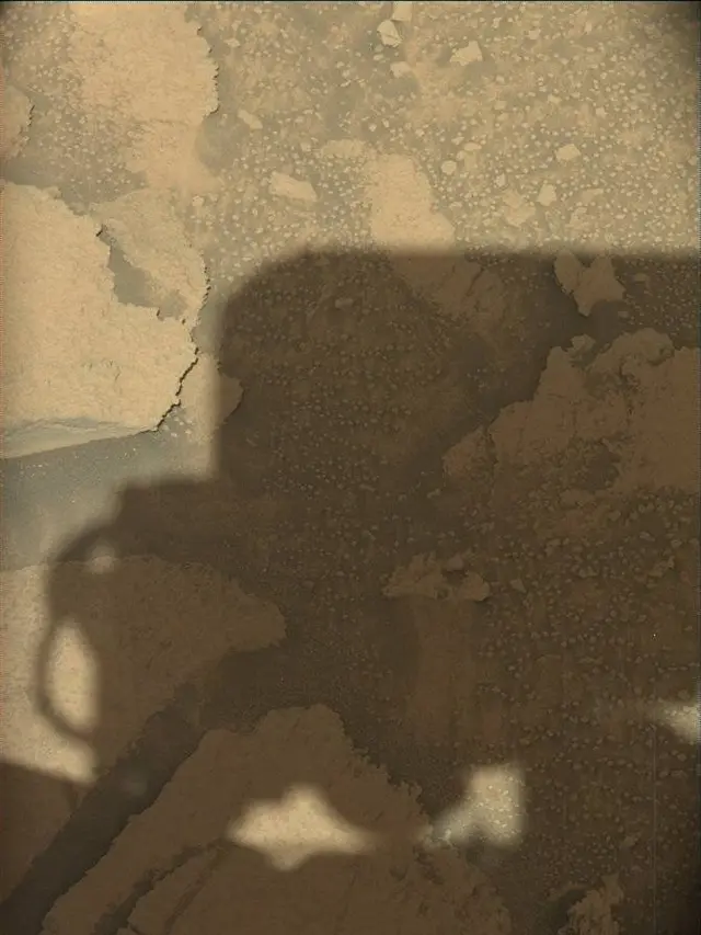 Sol 4596: Mast Camera (Mastcam)