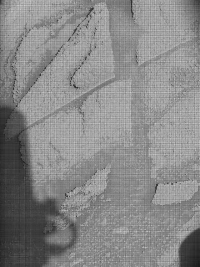 Sol 4596: Mast Camera (Mastcam)