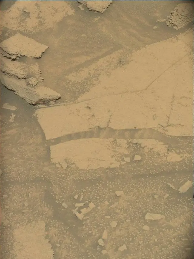 Sol 4596: Mast Camera (Mastcam)