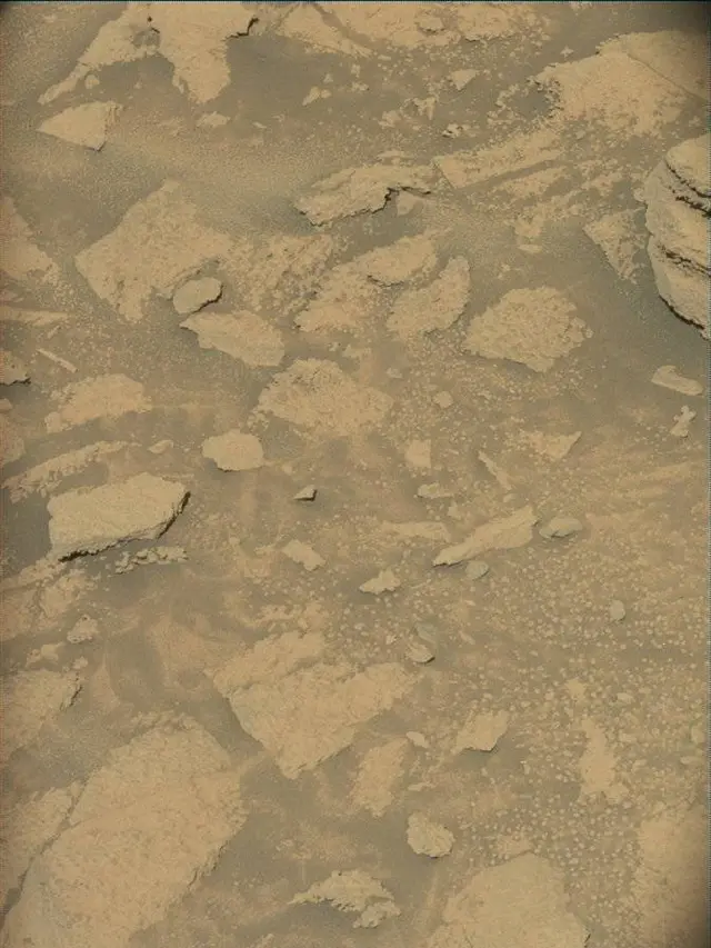 Sol 4596: Mast Camera (Mastcam)