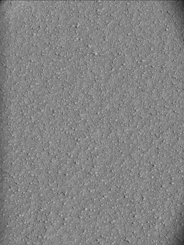 Sol 4598: Mast Camera (Mastcam)