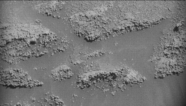 Sol 4600: Mast Camera (Mastcam)