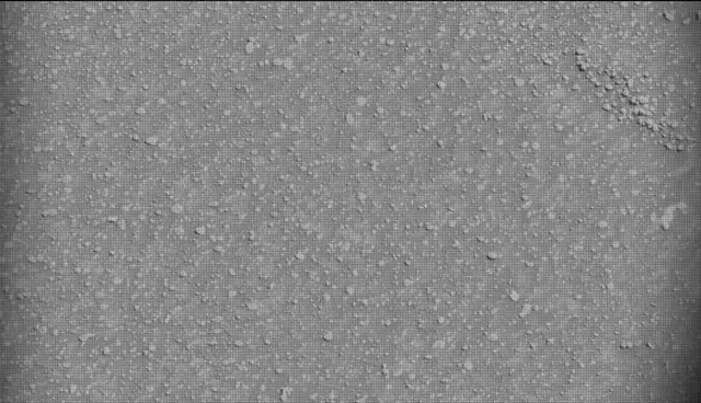 Sol 4600: Mast Camera (Mastcam)