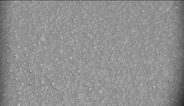 Sol 4600: Mast Camera (Mastcam)