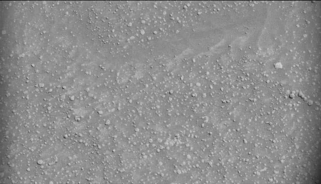 Sol 4600: Mast Camera (Mastcam)
