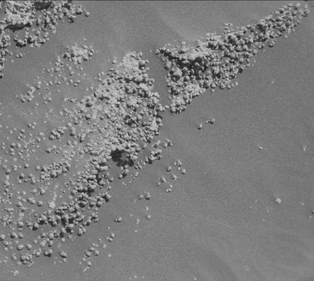 Sol 4600: Mast Camera (Mastcam)