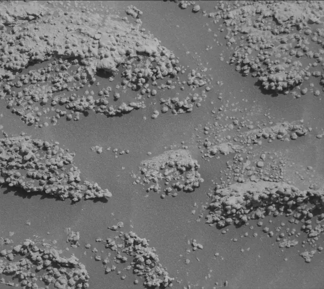Sol 4600: Mast Camera (Mastcam)