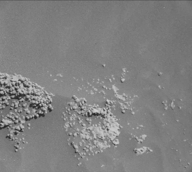 Sol 4600: Mast Camera (Mastcam)