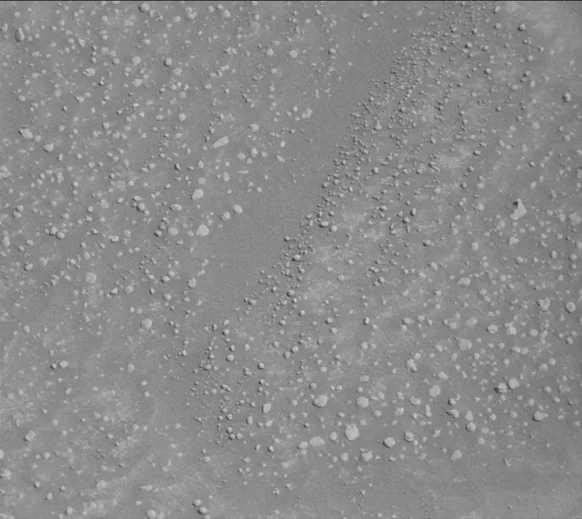 Sol 4600: Mast Camera (Mastcam)