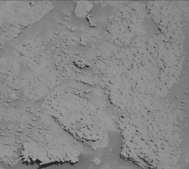 Sol 4602: Mast Camera (Mastcam)