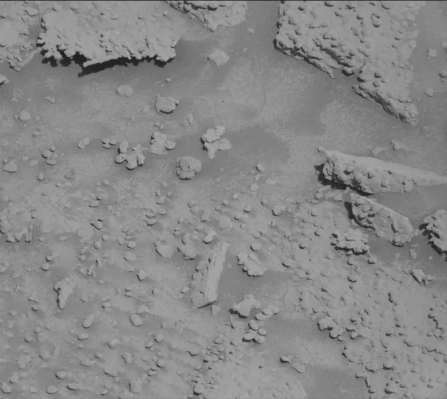 Sol 4602: Mast Camera (Mastcam)