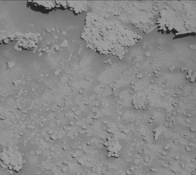 Sol 4602: Mast Camera (Mastcam)