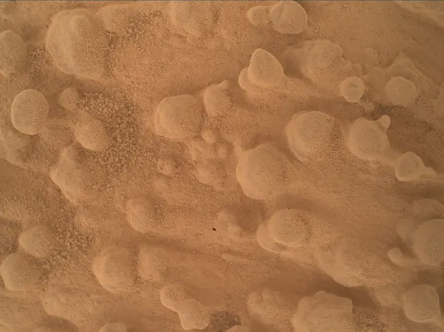 Sol 4602: Mars Hand Lens Imager (MAHLI)